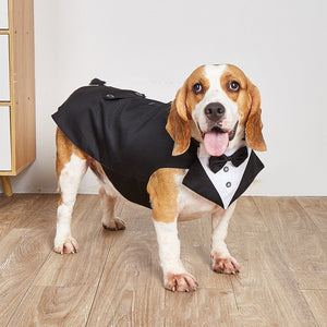 Swallowtail Pet Wedding Suit Jacket Formal Design