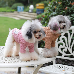 Why Your Pet Deserves the Warm Pet Sweater for Outdoor Wear