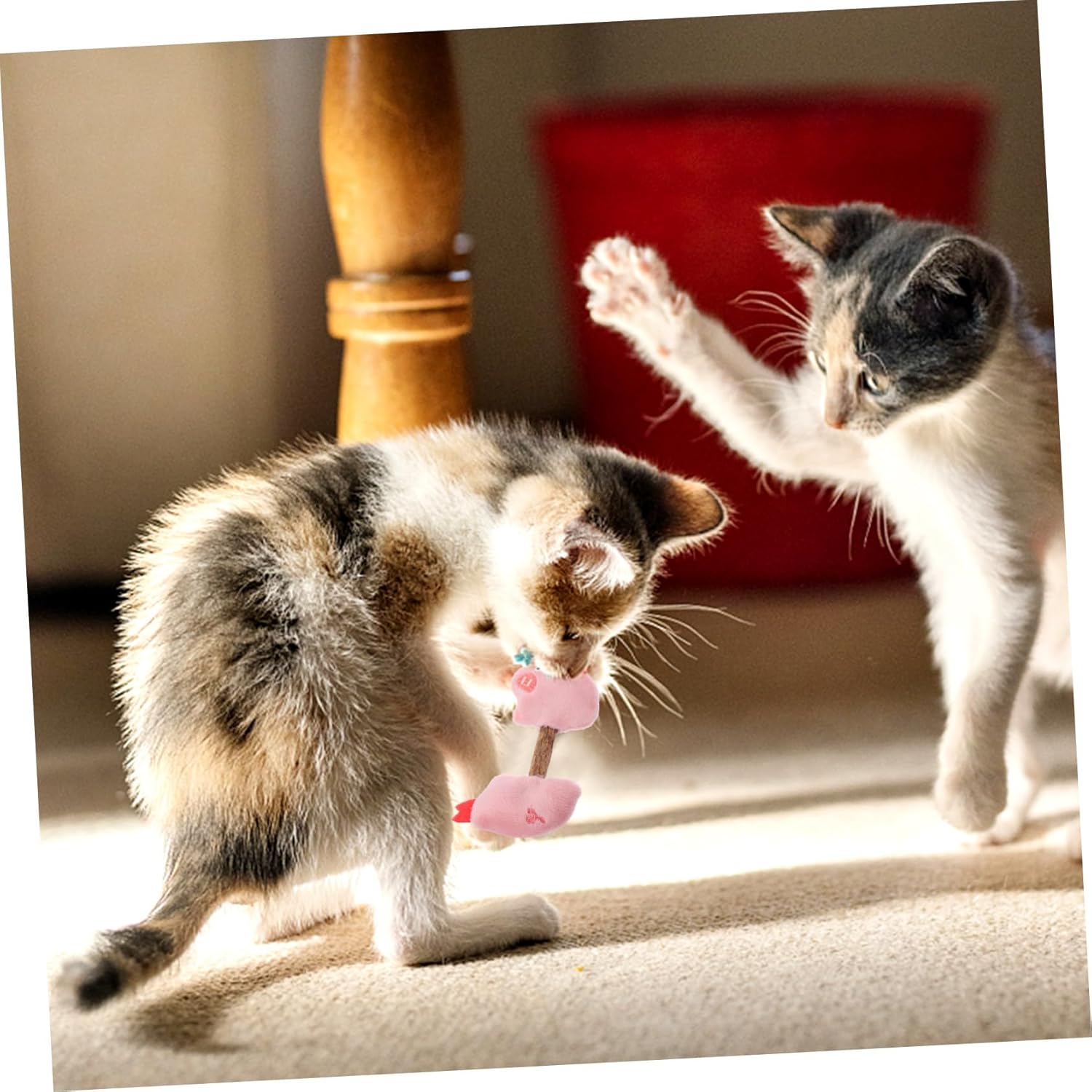 Discover the Ultimate Pet Silvervine Chew Sticks for Your Feline Friends