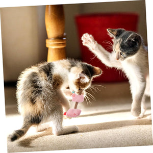 Discover the Ultimate Pet Silvervine Chew Sticks for Your Feline Friends